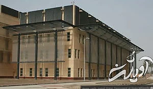 20 واقعیت جالب، بامزه و باورنکردنی برای ذهن های کنجکاو